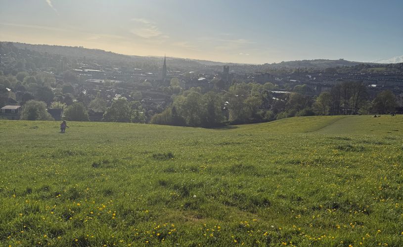 Bathwick Meadows - credit Betsy Francis